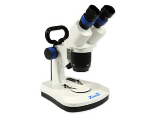 Estereo microscopio